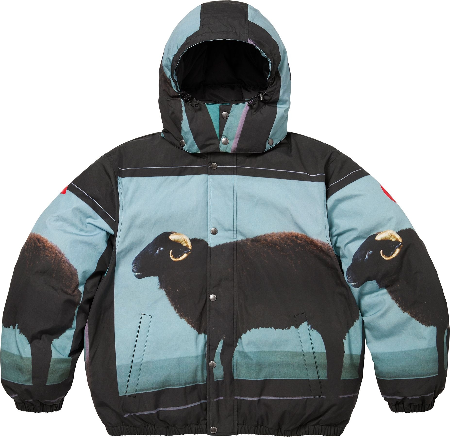 Supreme/Damien Hirst Down Puffer Jacket view 13
